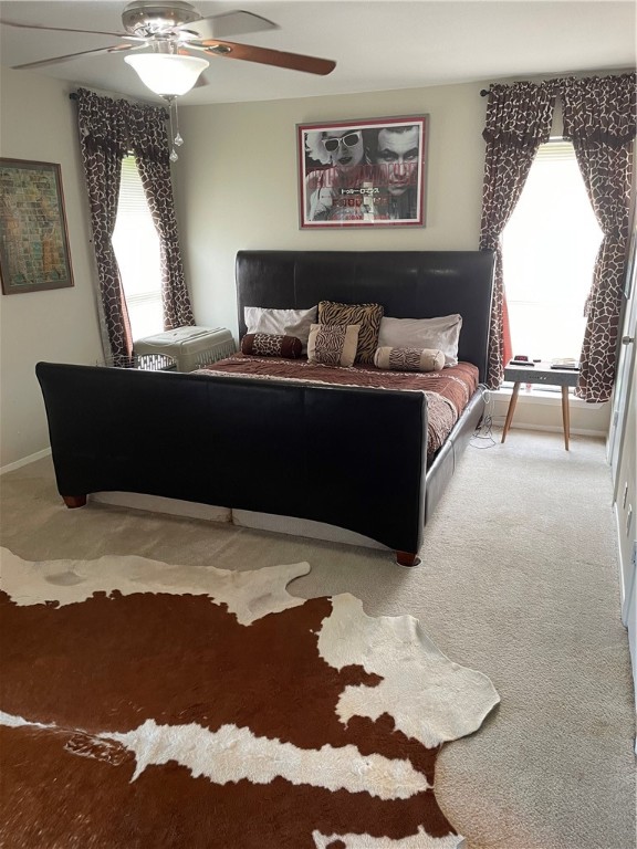 513 White Wing Way Round Rock, TX 78664 - Photo 6 of 20