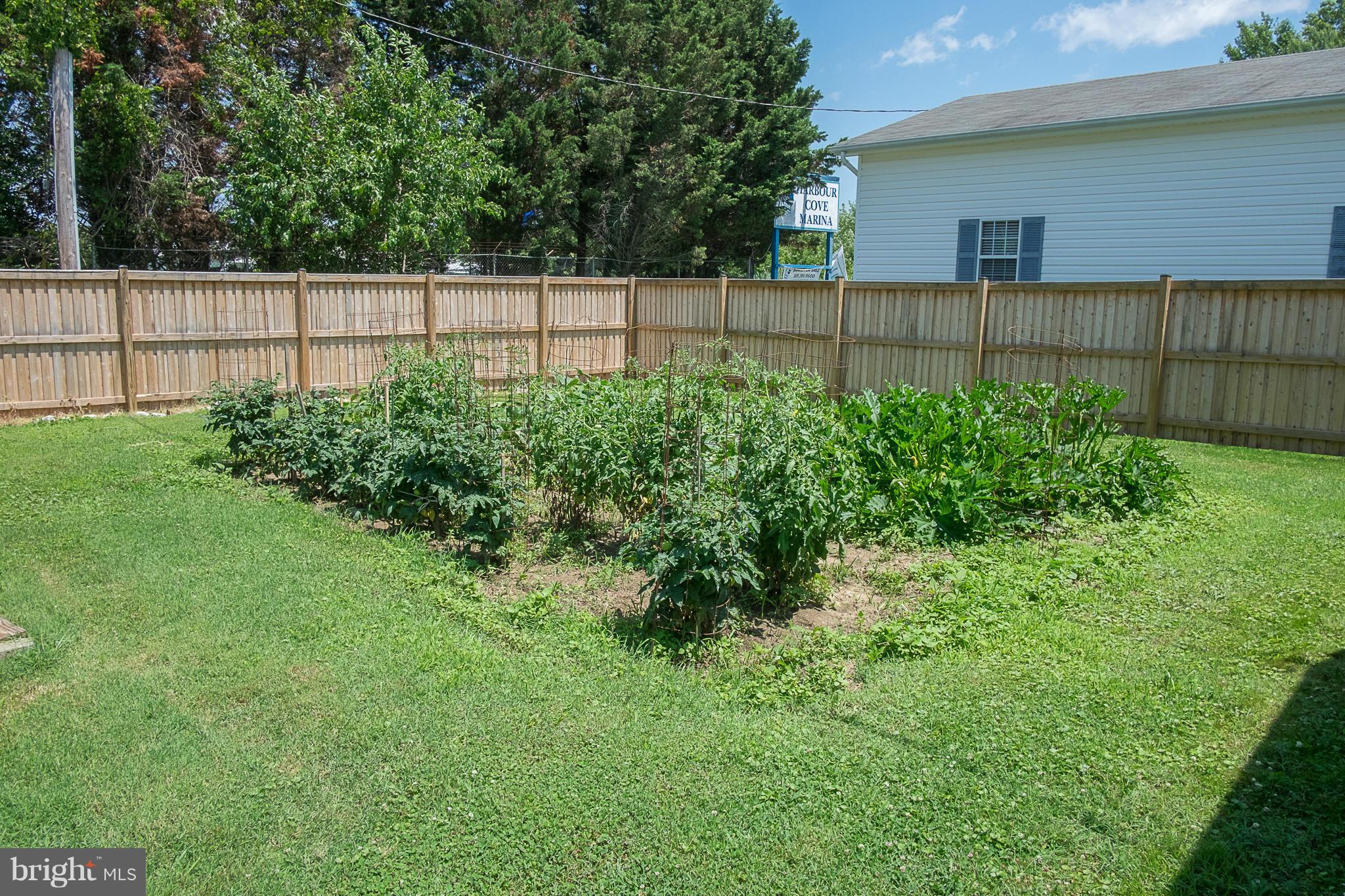 636 Deale Road Deale, MD 20751 - Photo 25 of 30 a view of backyard with green space