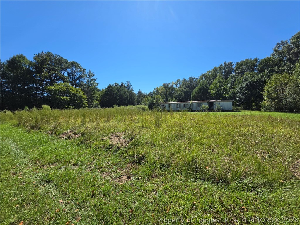9685 Giles Road Linden, NC 28356 - Photo 13 of 14 Gallery Image 13