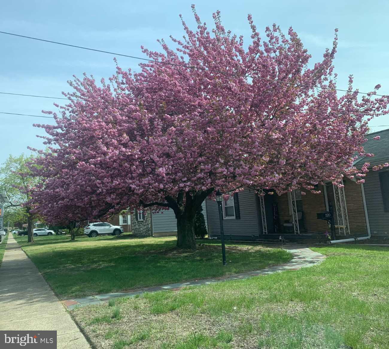 520 Rutgers Avenue Burlington, NJ 08016 - Photo 27 of 29 a front view of a house with a garden