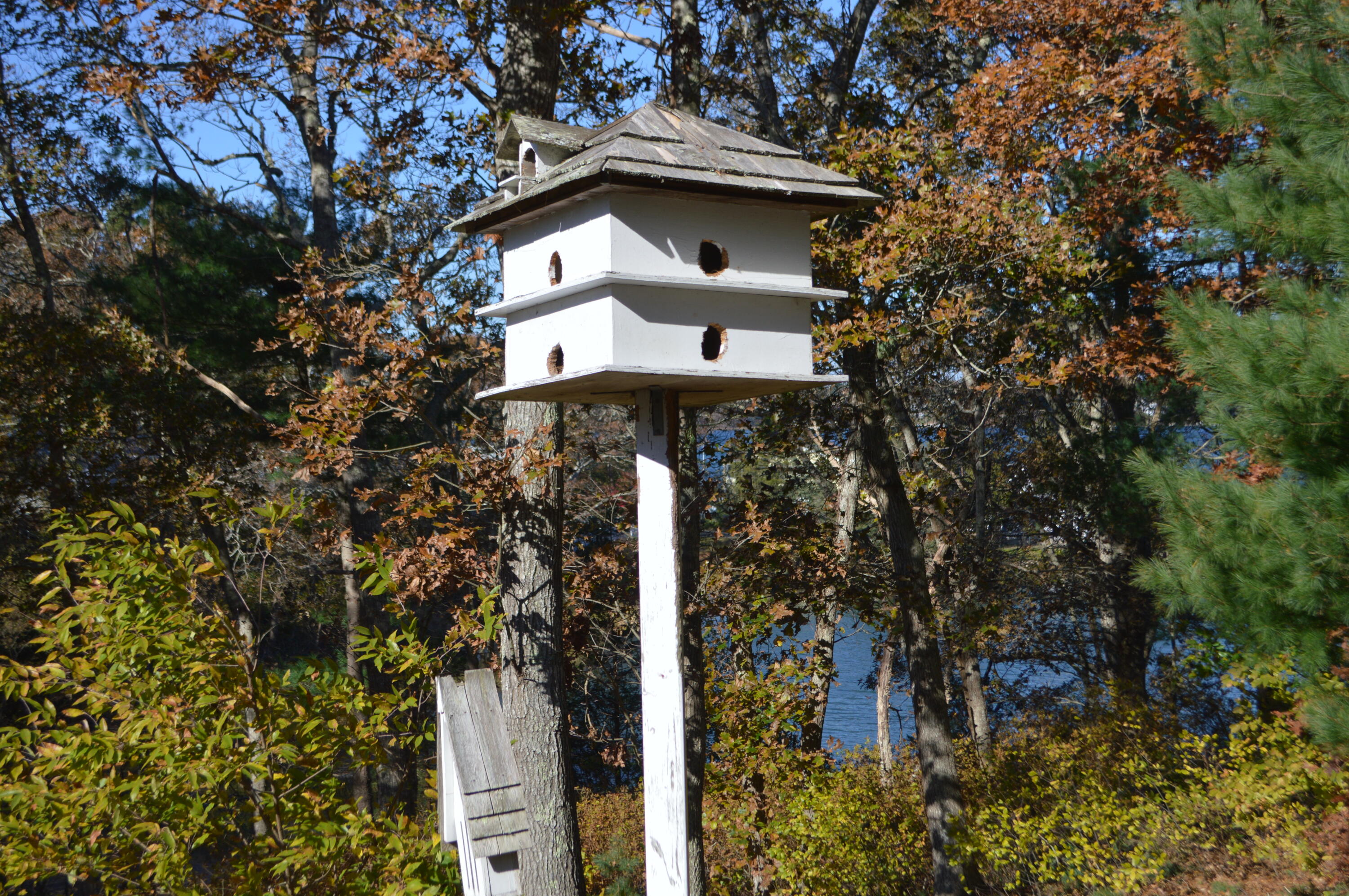 5 Windmill Road Buzzards Bay, MA 02532 - Photo 38 of 53 View from yard