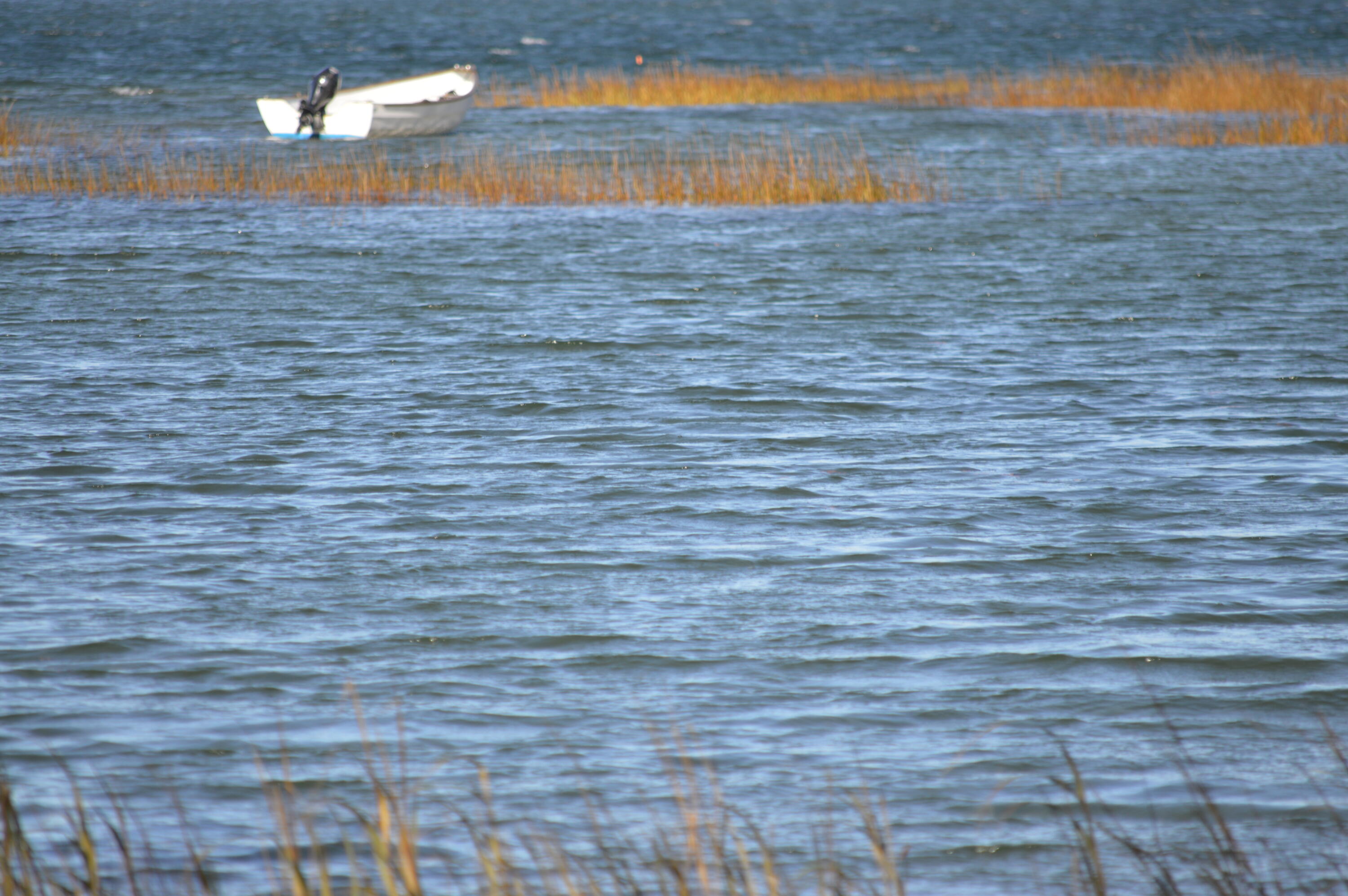 5 Windmill Road Buzzards Bay, MA 02532 - Photo 49 of 53 Marsh out to Buttermilk