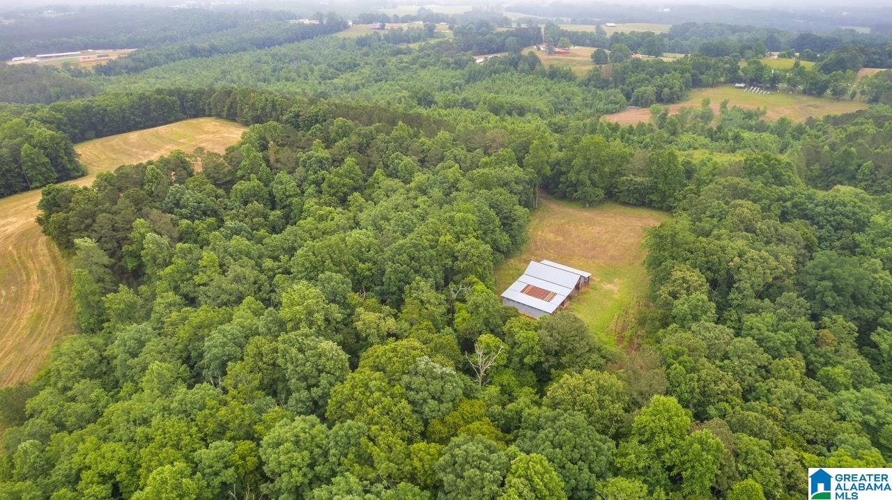 14791 County Road 10, Unit 45 ACRES Ranburne, AL 36273 - Photo 21 of 43