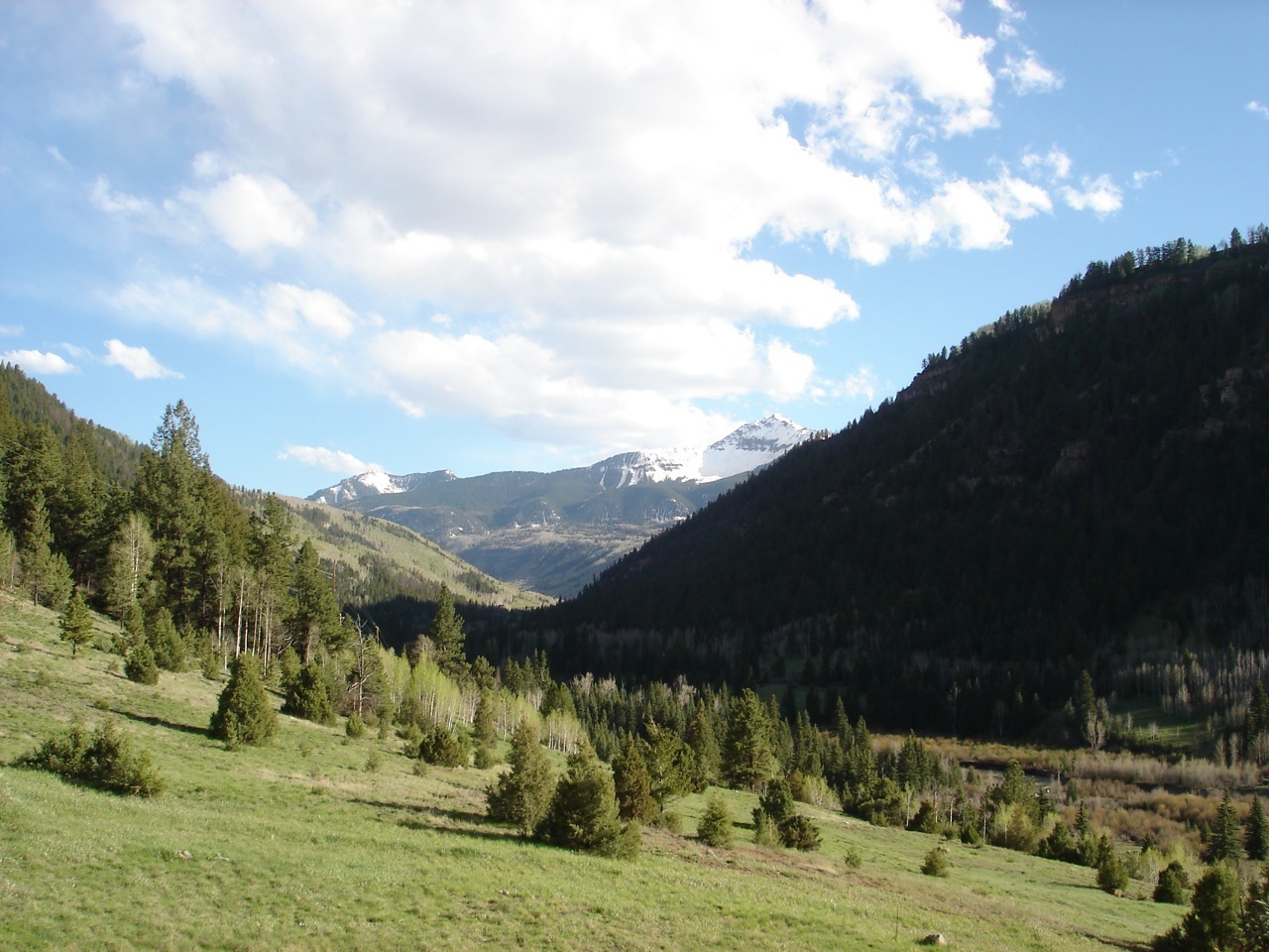 899 Two Rivers Drive Telluride, CO 81435 - Photo 12 of 12 Views to the South