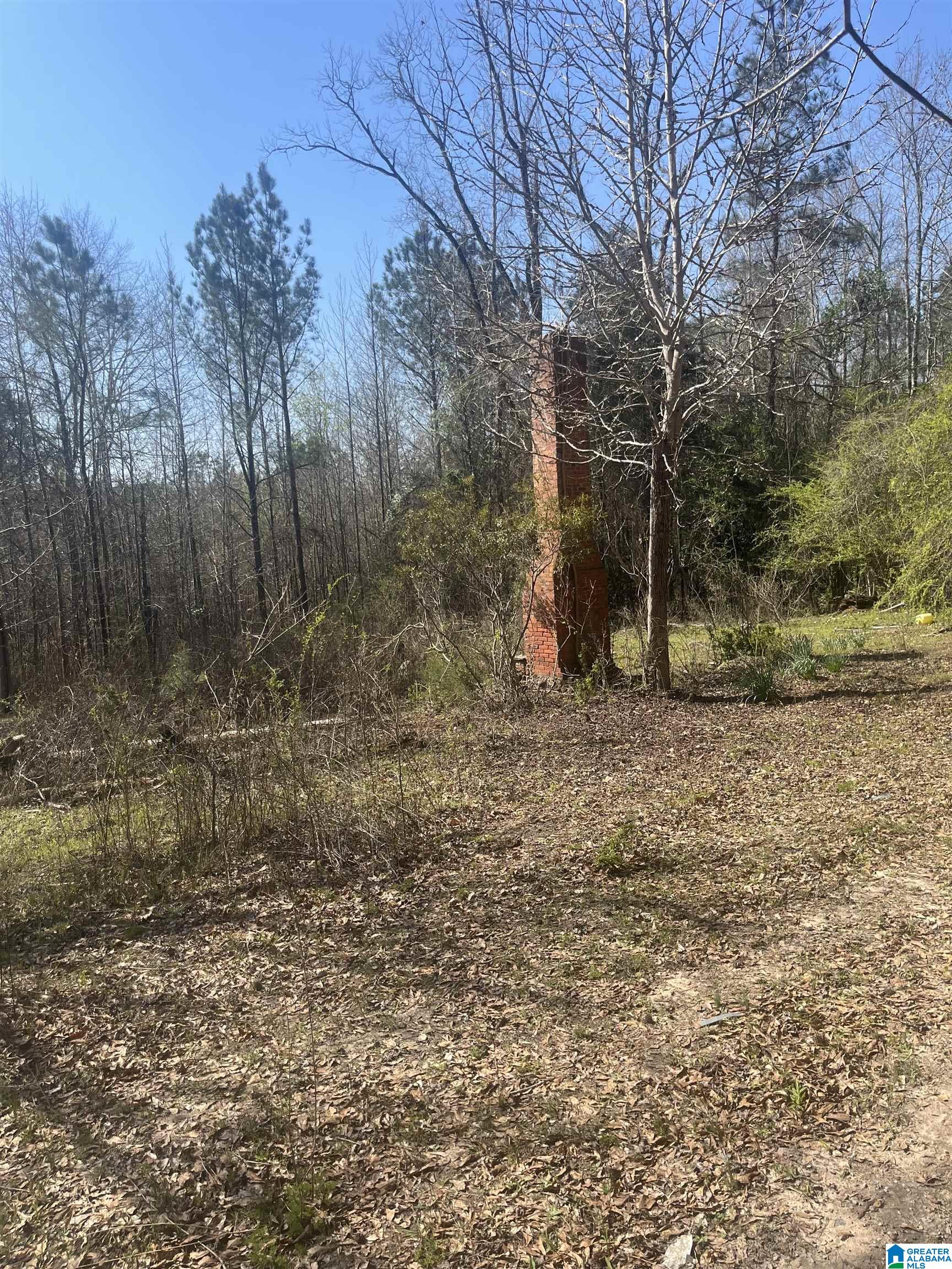 0 Crystal Lake Road West Blocton, AL 35184 - Photo 4 of 16