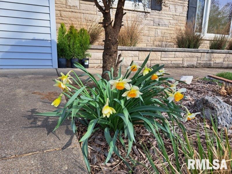 1504 North 5th Street Pekin, IL 61554 - Photo 13 of 60
