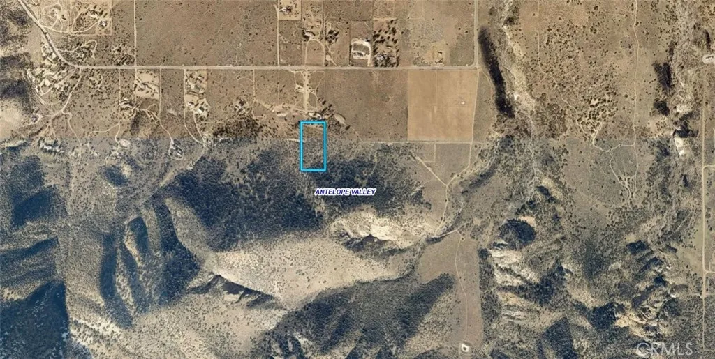 0 Juniper Hills Road Juniper Hills, CA 93543 - Photo 3 of 10