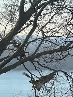 $599,900 | 3403 Riverview Court, Godfrey, IL 62035