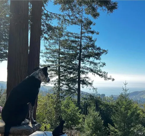 $2,250,000 | 3100 Muniz Ranch Road, Jenner, CA 95450