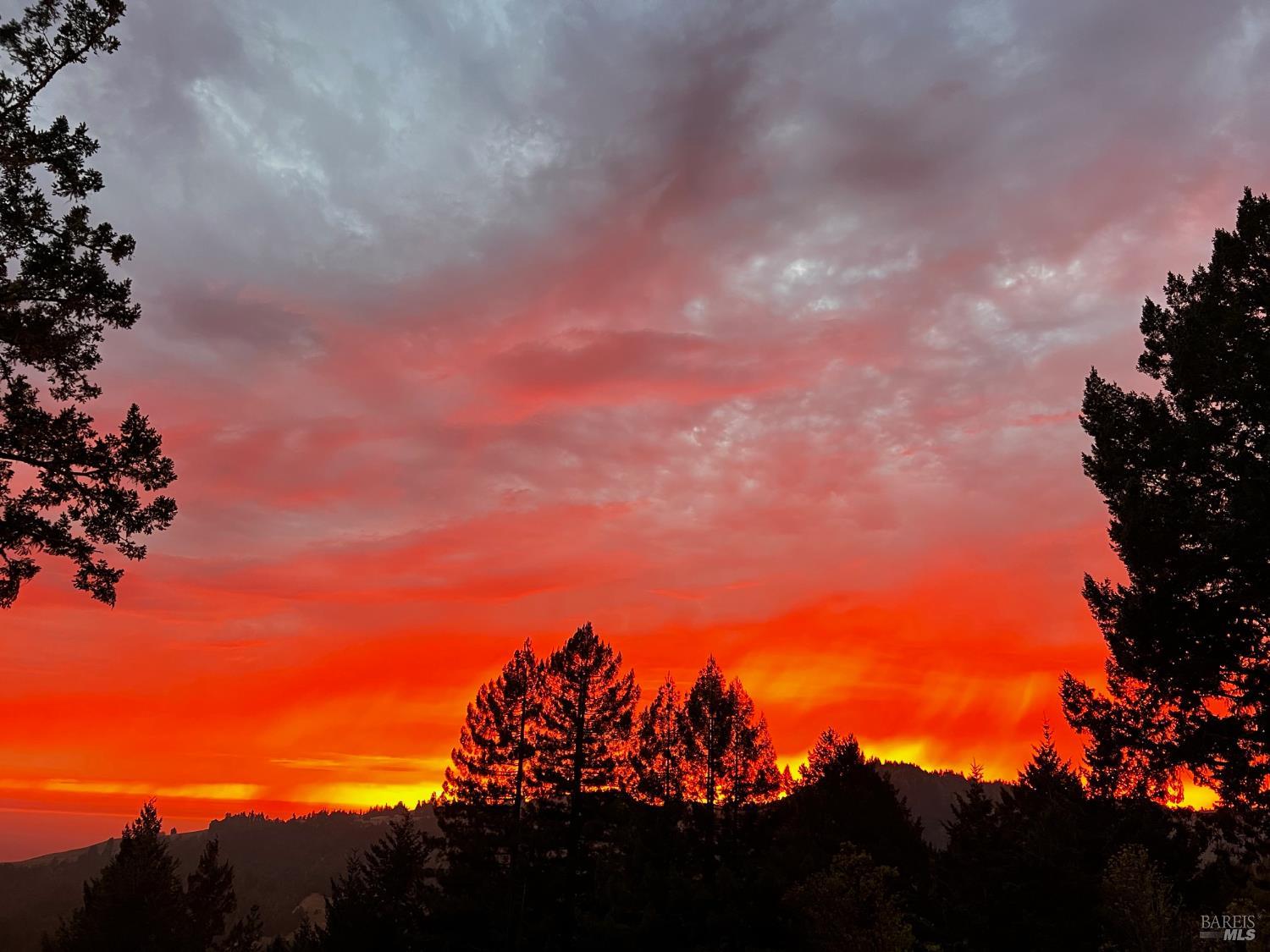 3100 Muniz Ranch Road Jenner, CA 95450 - Photo 71 of 83