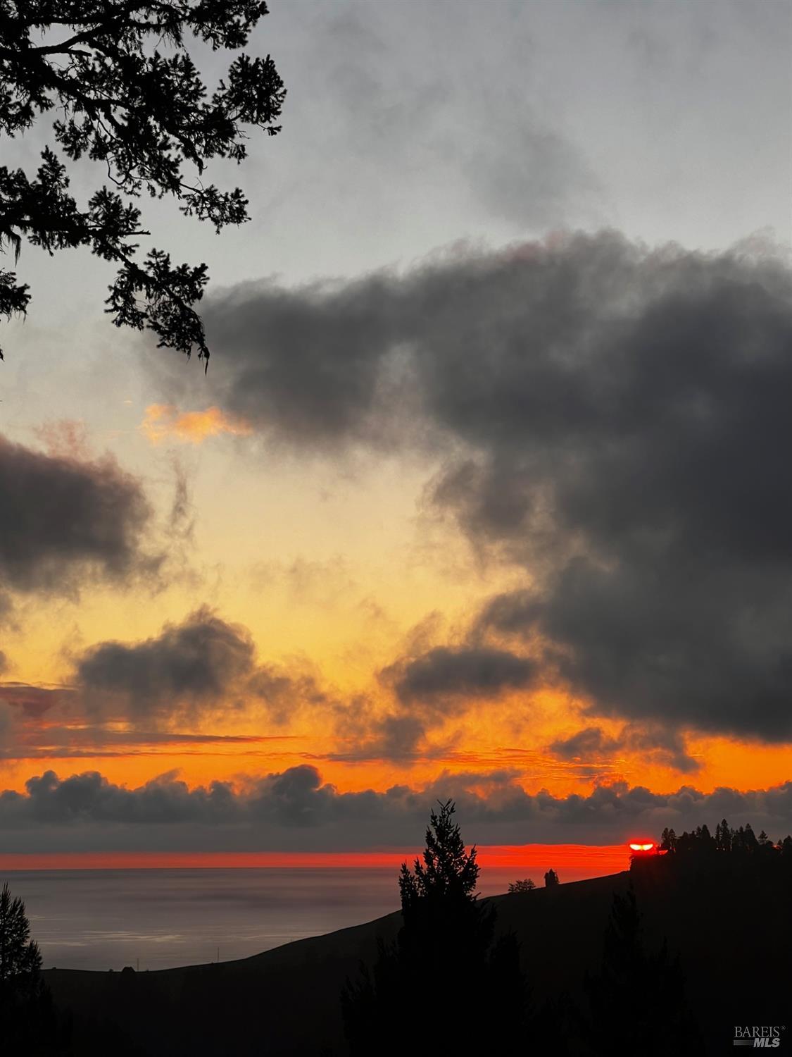 3100 Muniz Ranch Road Jenner, CA 95450 - Photo 77 of 83