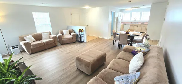 a living room with furniture or couch and a potted plant
