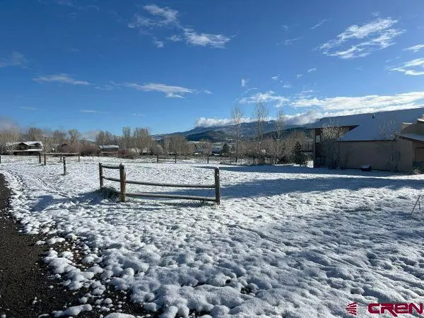 a view of a yard