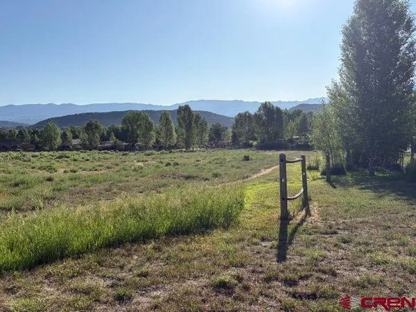 a view of a field with a tree in the background