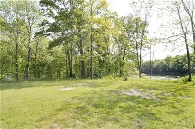 10885 Jones Bellevue, MI 49021 - Photo 16 of 20 Additional Photo
