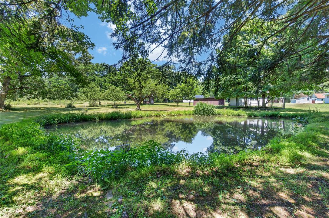 51 Reynolds Road Tamaqua, PA 18252 - Photo 5 of 71 A tranquil pond reflecting verdant trees creates a serene, natural landscape.