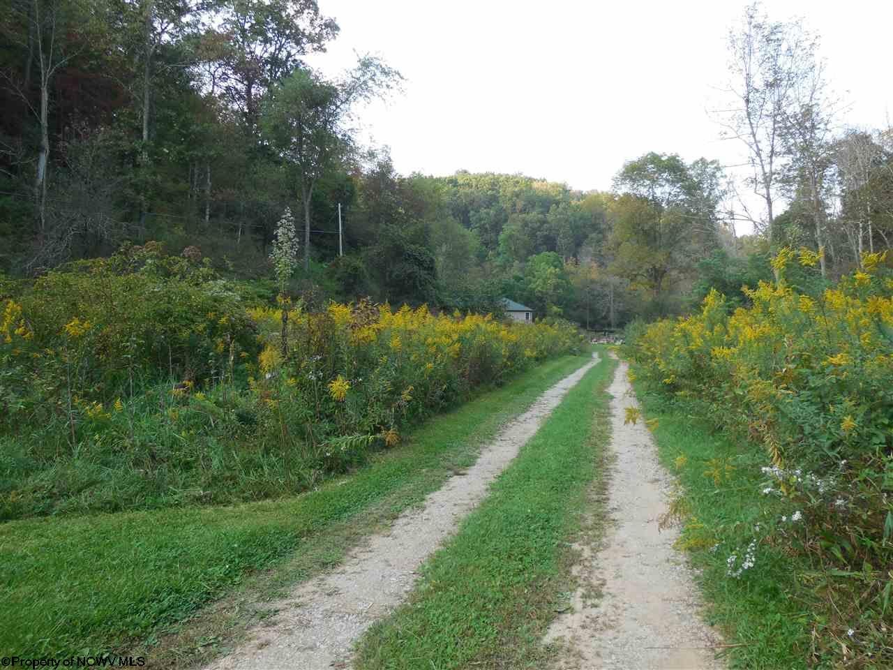 347 Dudley Fork Road Mannington, WV 26582 - Photo 20 of 20 Gallery Image 20