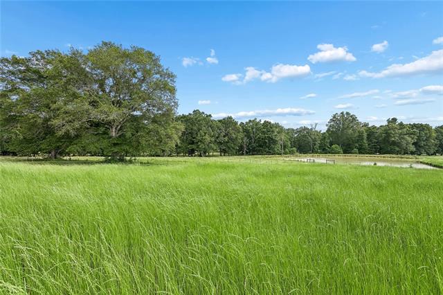 77224 Hilburn Road Kentwood, LA 70444 - Photo 18 of 44