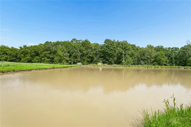 77224 Hilburn Road Kentwood, LA 70444 - Photo 21 of 44