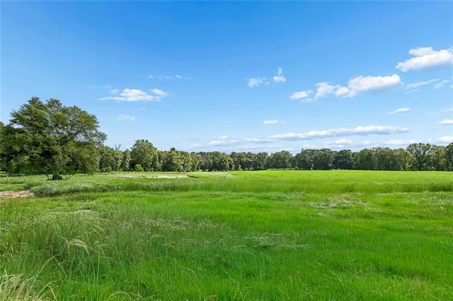 77224 Hilburn Road Kentwood, LA 70444 - Photo 23 of 44