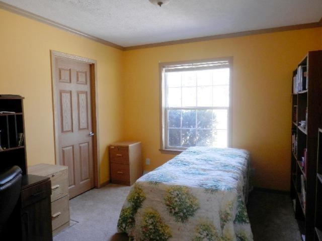 9055 Potter Road Bear Lake, MI 49614 - Photo 11 of 28 Bedroom #2 or office