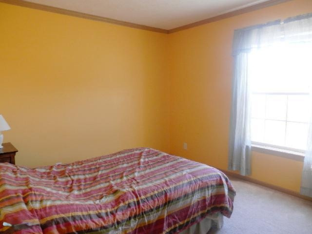 9055 Potter Road Bear Lake, MI 49614 - Photo 12 of 28 Bedroom #3