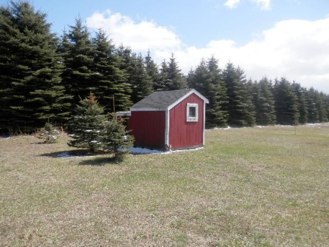 9055 Potter Road Bear Lake, MI 49614 - Photo 20 of 28 Chicken coop for your own eggs!