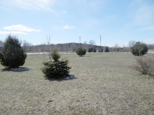 9055 Potter Road Bear Lake, MI 49614 - Photo 24 of 28 Property goes all the way to Anderson Rd