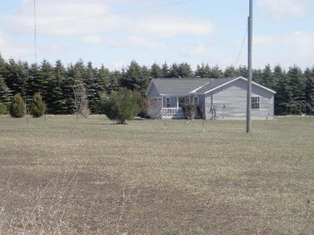 9055 Potter Road Bear Lake, MI 49614 - Photo 28 of 28 Side view from west side