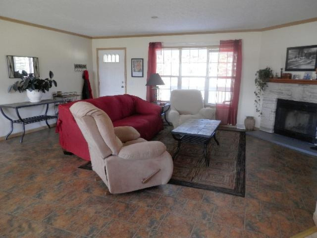 9055 Potter Road Bear Lake, MI 49614 - Photo 3 of 28 Living room with woodburning fireplace