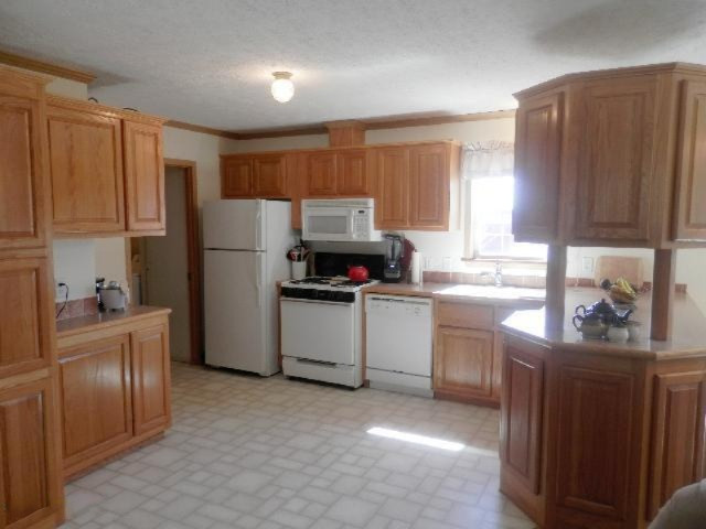 9055 Potter Road Bear Lake, MI 49614 - Photo 4 of 28 Extensive cabinet and counter space