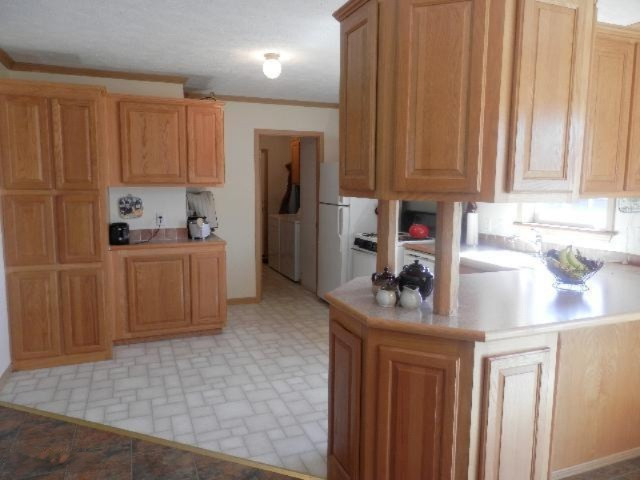9055 Potter Road Bear Lake, MI 49614 - Photo 6 of 28 Attractive counter peninsula and pantry