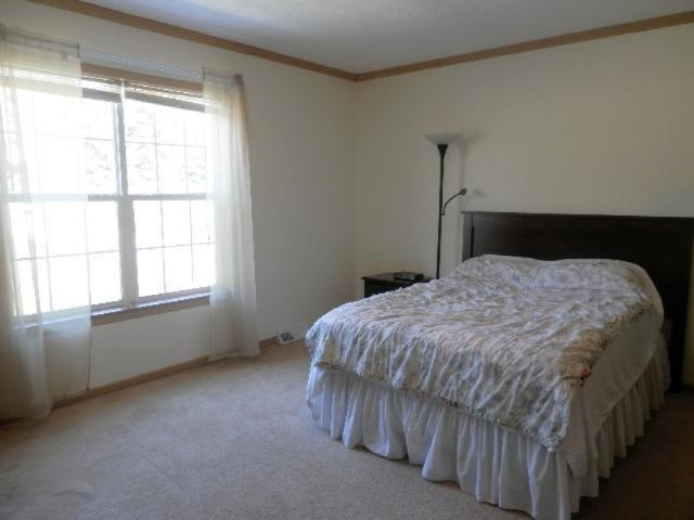 9055 Potter Road Bear Lake, MI 49614 - Photo 8 of 28 Master bedroom