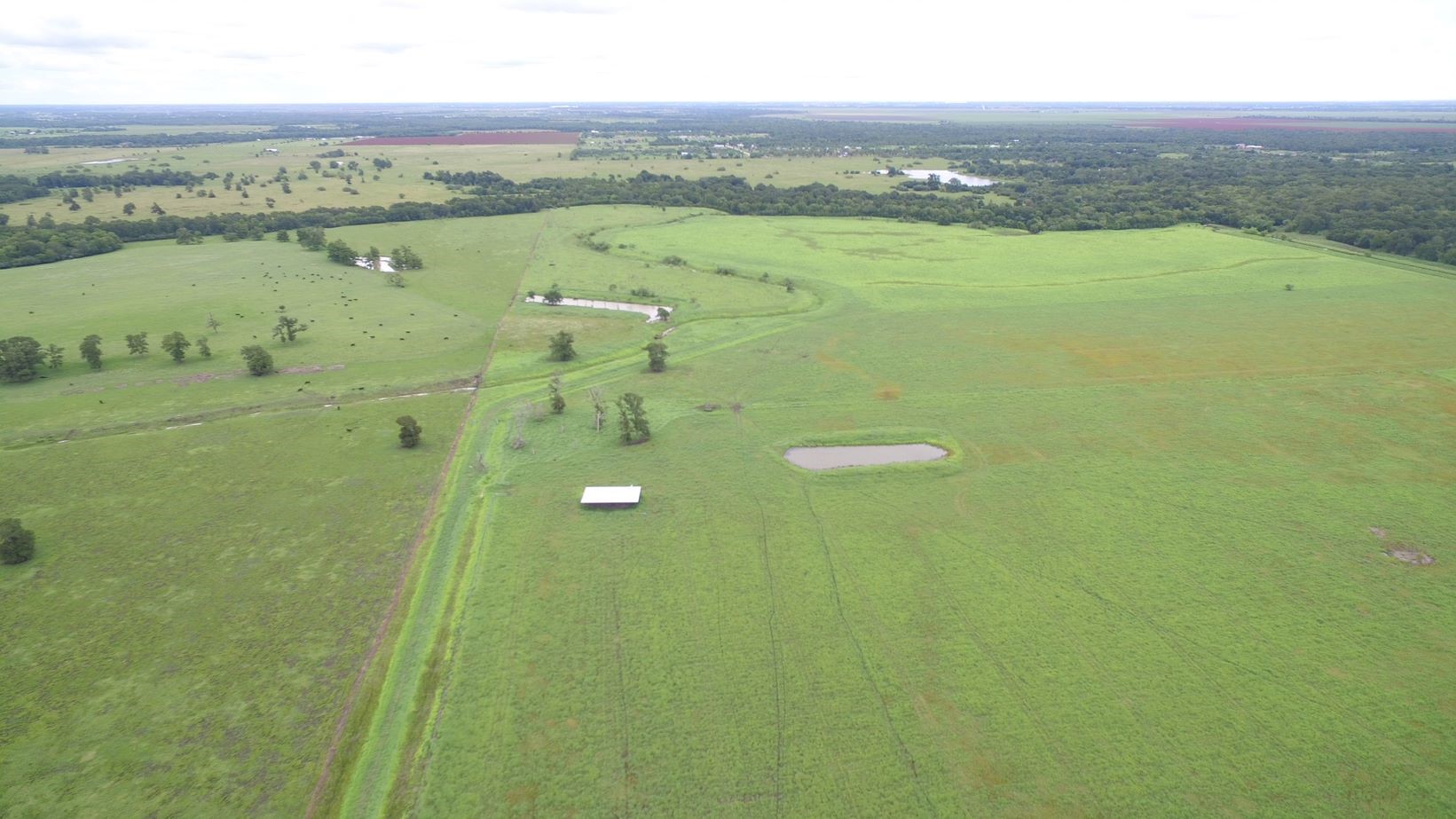 4950 Donaldson Road Wharton, TX 77488 - Photo 13 of 17 Looking N toward West Bernard Creek in background