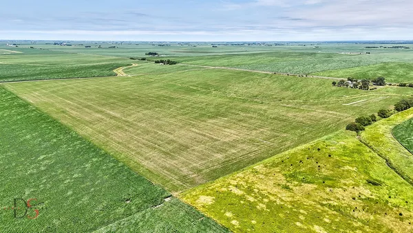 a view of a field with an ocean beach