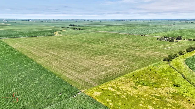 a view of a field with an ocean beach