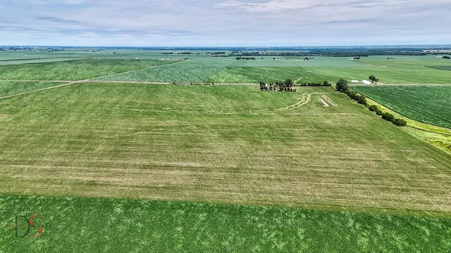a view of a golf course with a garden