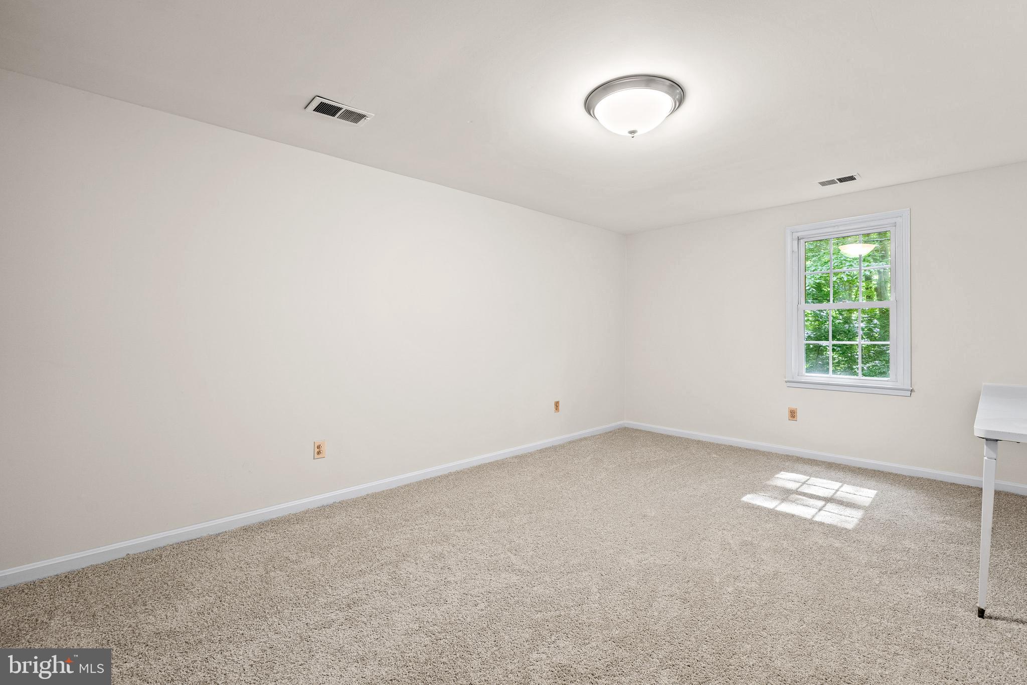 5420 Well Spring Road La Plata, MD 20646 - Photo 37 of 63 Bedroom 6 - Lower Level