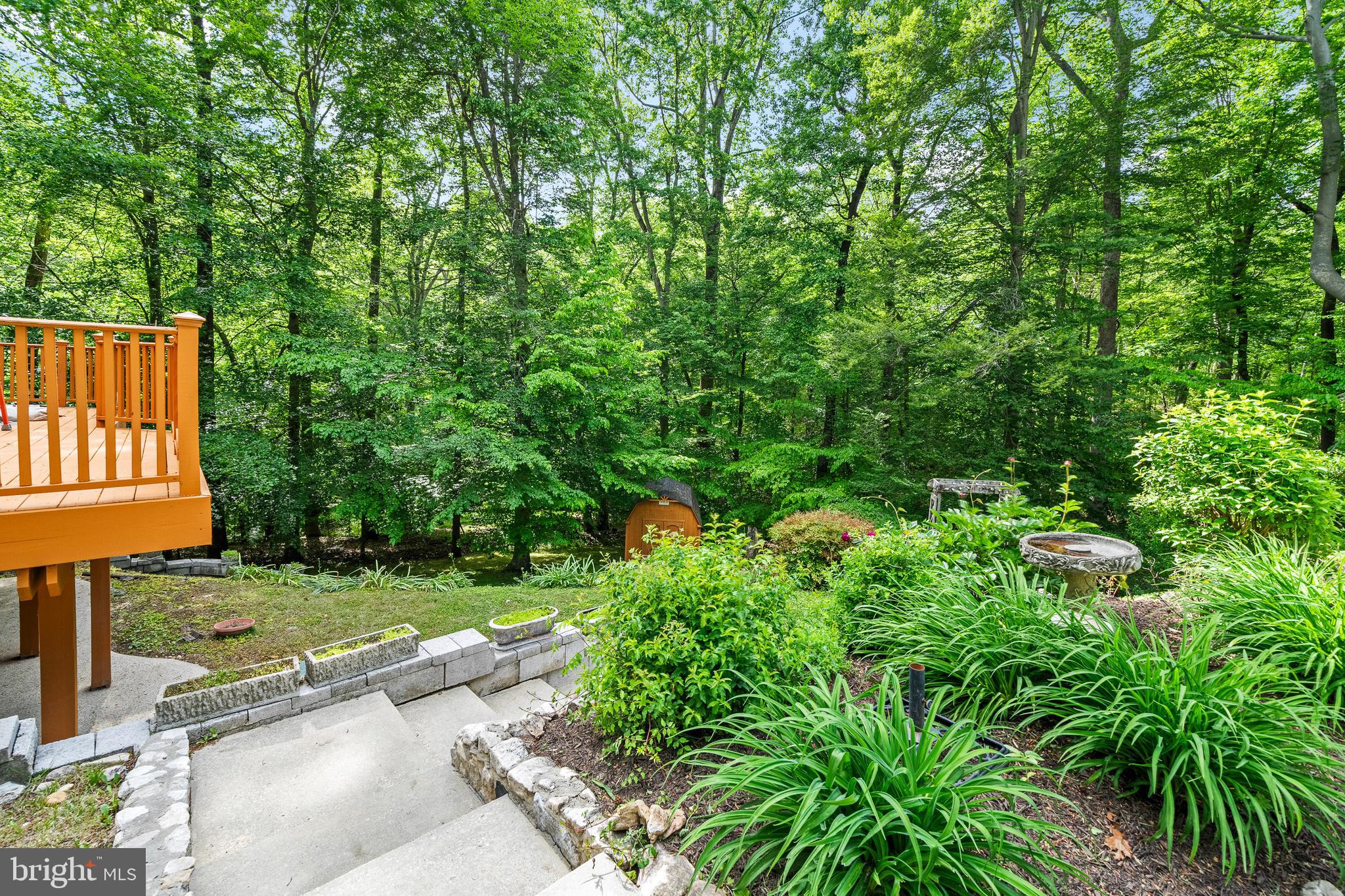 5420 Well Spring Road La Plata, MD 20646 - Photo 56 of 63 Wooded View of the Backyard
