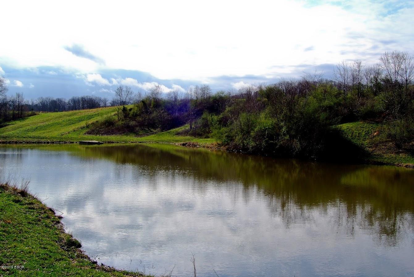 1385 Rattlesnake Ferry Road Alto Pass, IL 62905 - Photo 12 of 50 Gallery Image 12