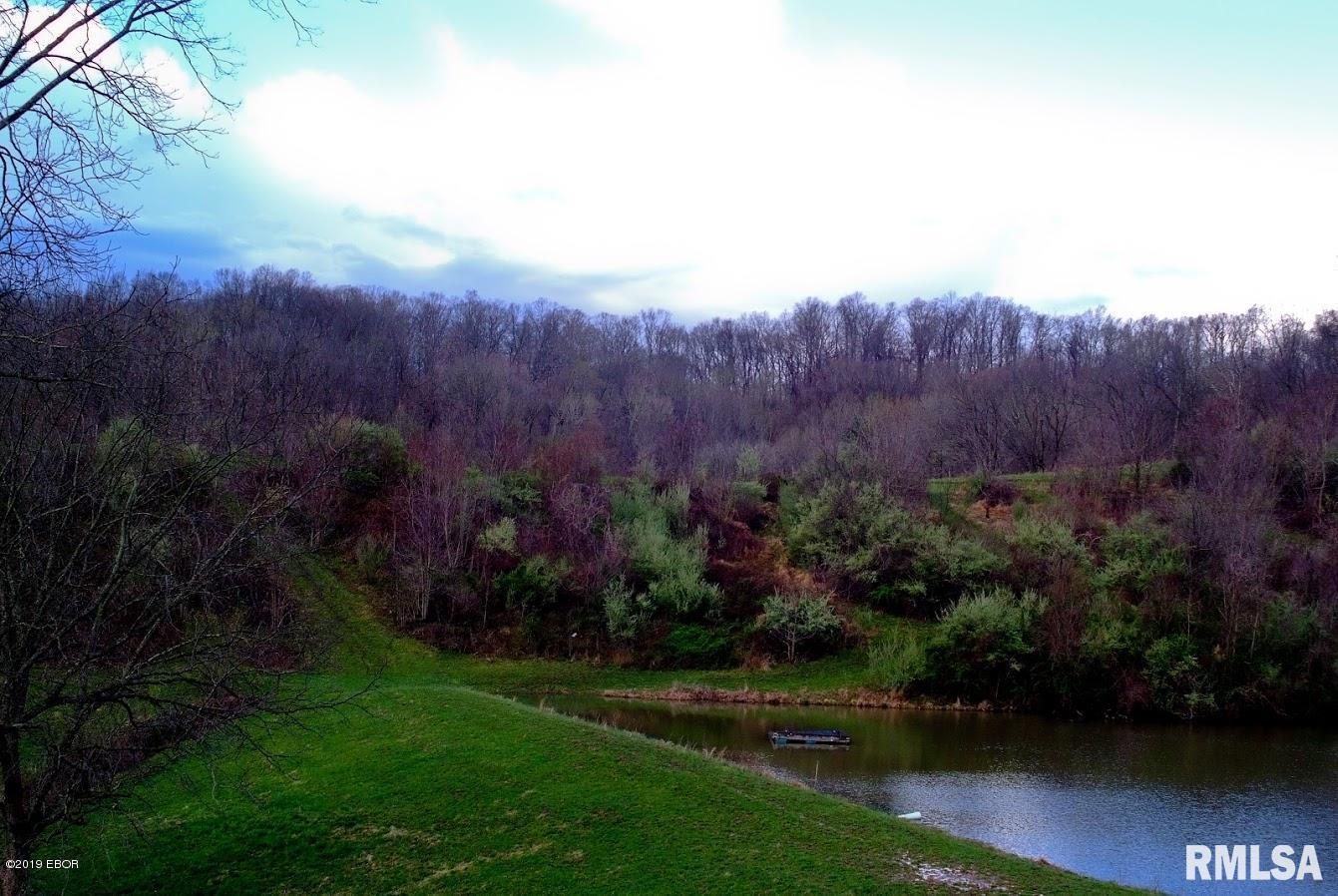 1385 Rattlesnake Ferry Road Alto Pass, IL 62905 - Photo 23 of 50 Gallery Image 23