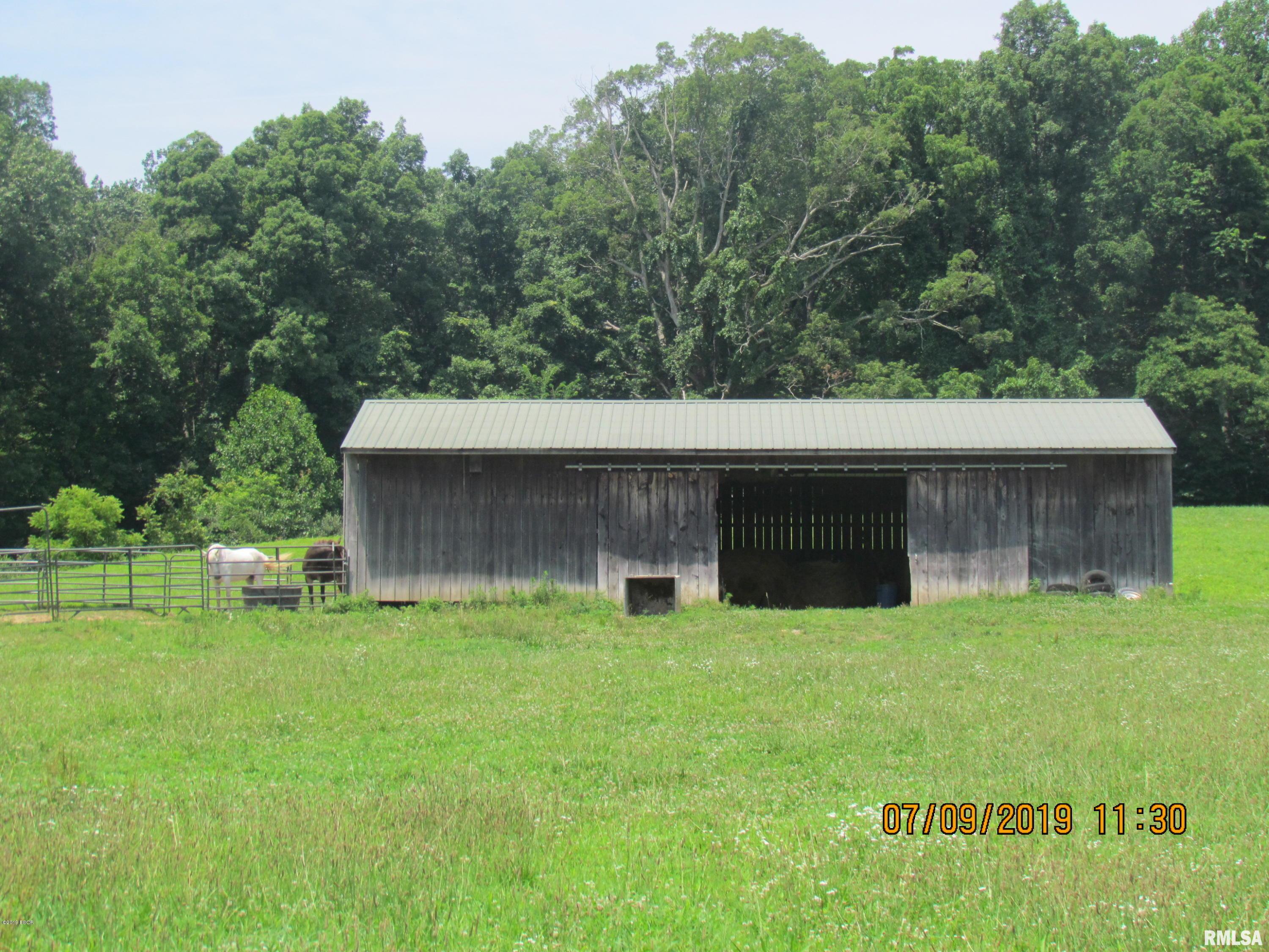 1385 Rattlesnake Ferry Road Alto Pass, IL 62905 - Photo 29 of 50 Gallery Image 29