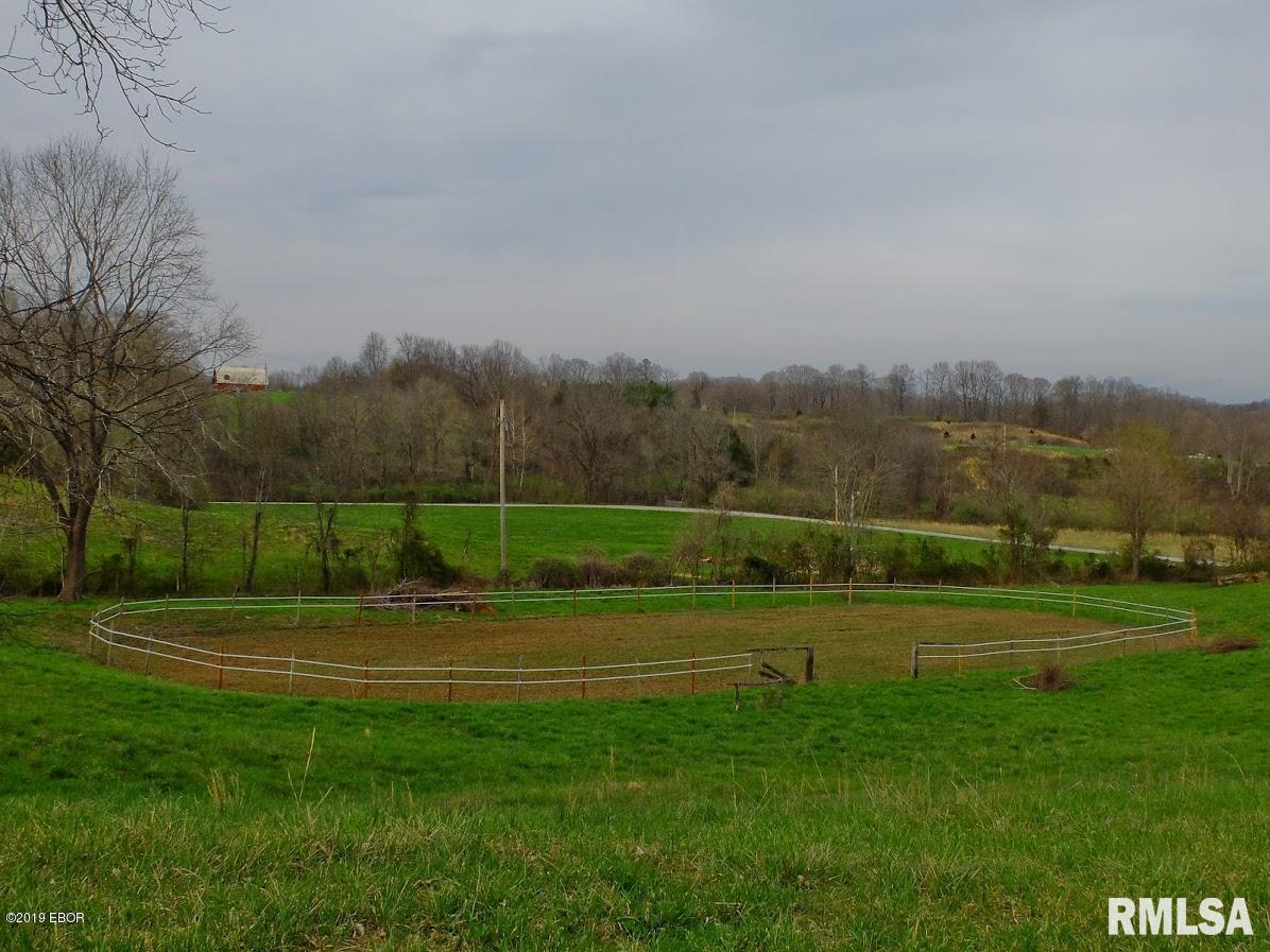 1385 Rattlesnake Ferry Road Alto Pass, IL 62905 - Photo 31 of 50 Gallery Image 31