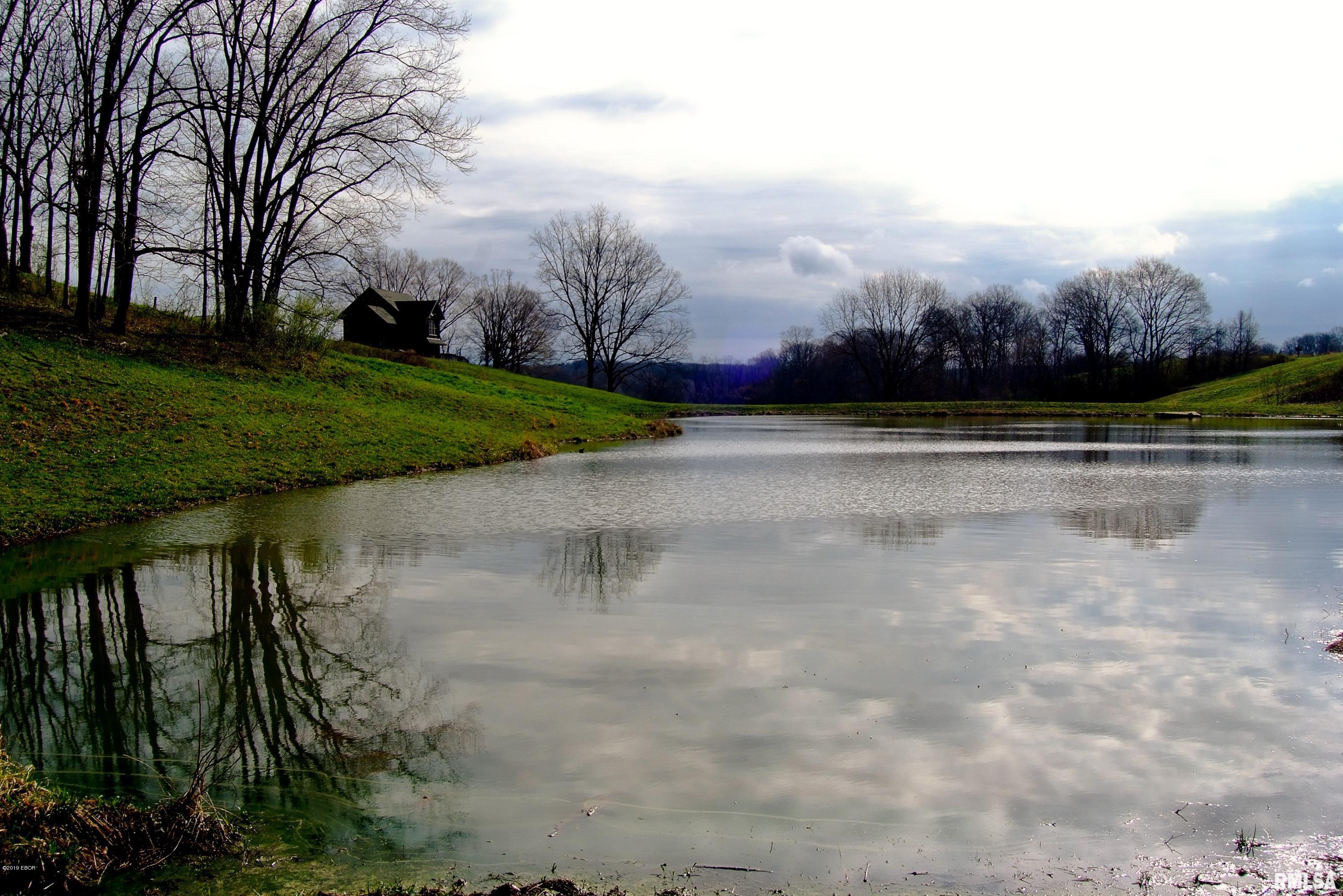 1385 Rattlesnake Ferry Road Alto Pass, IL 62905 - Photo 45 of 50 Gallery Image 45