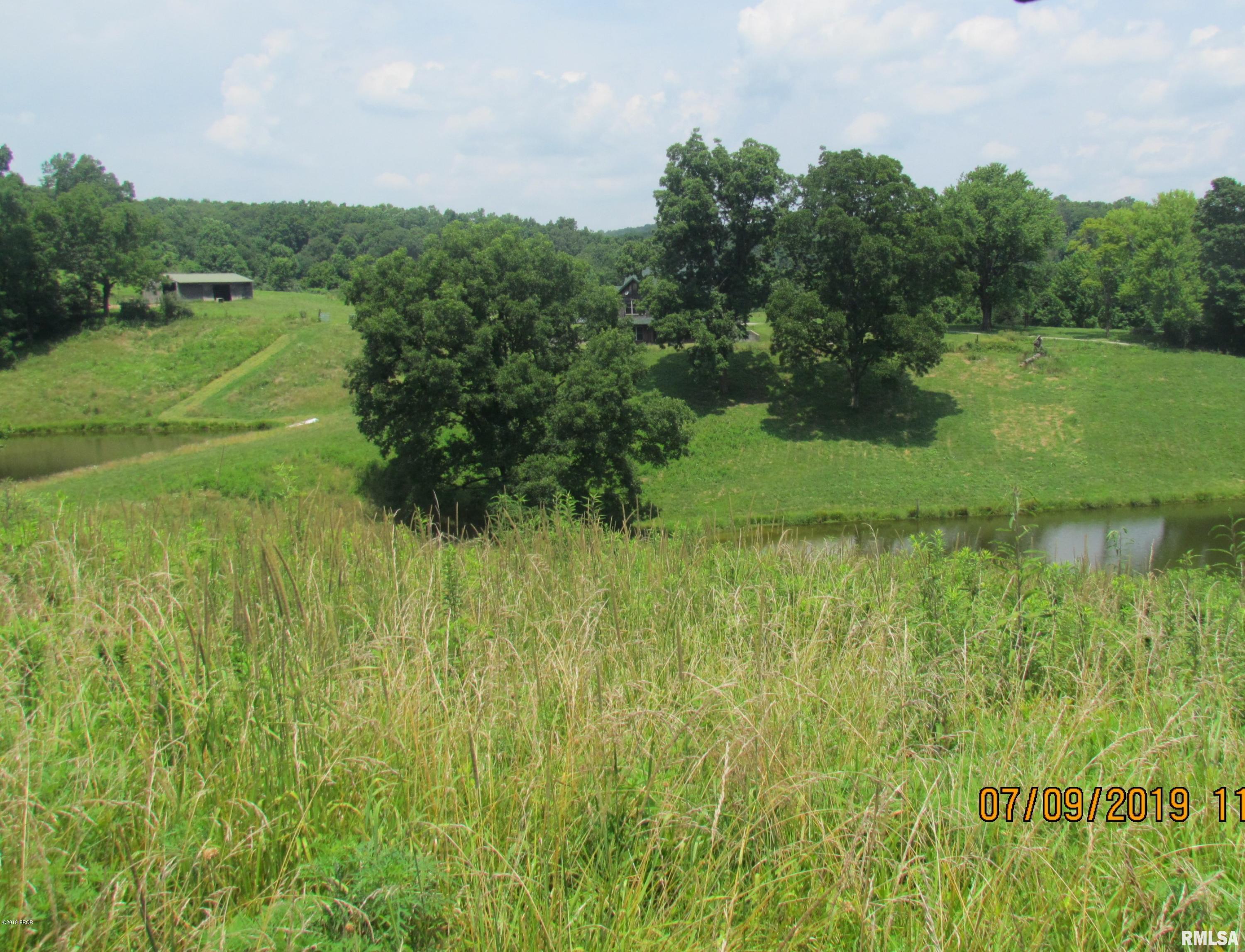 1385 Rattlesnake Ferry Road Alto Pass, IL 62905 - Photo 46 of 50 Gallery Image 46
