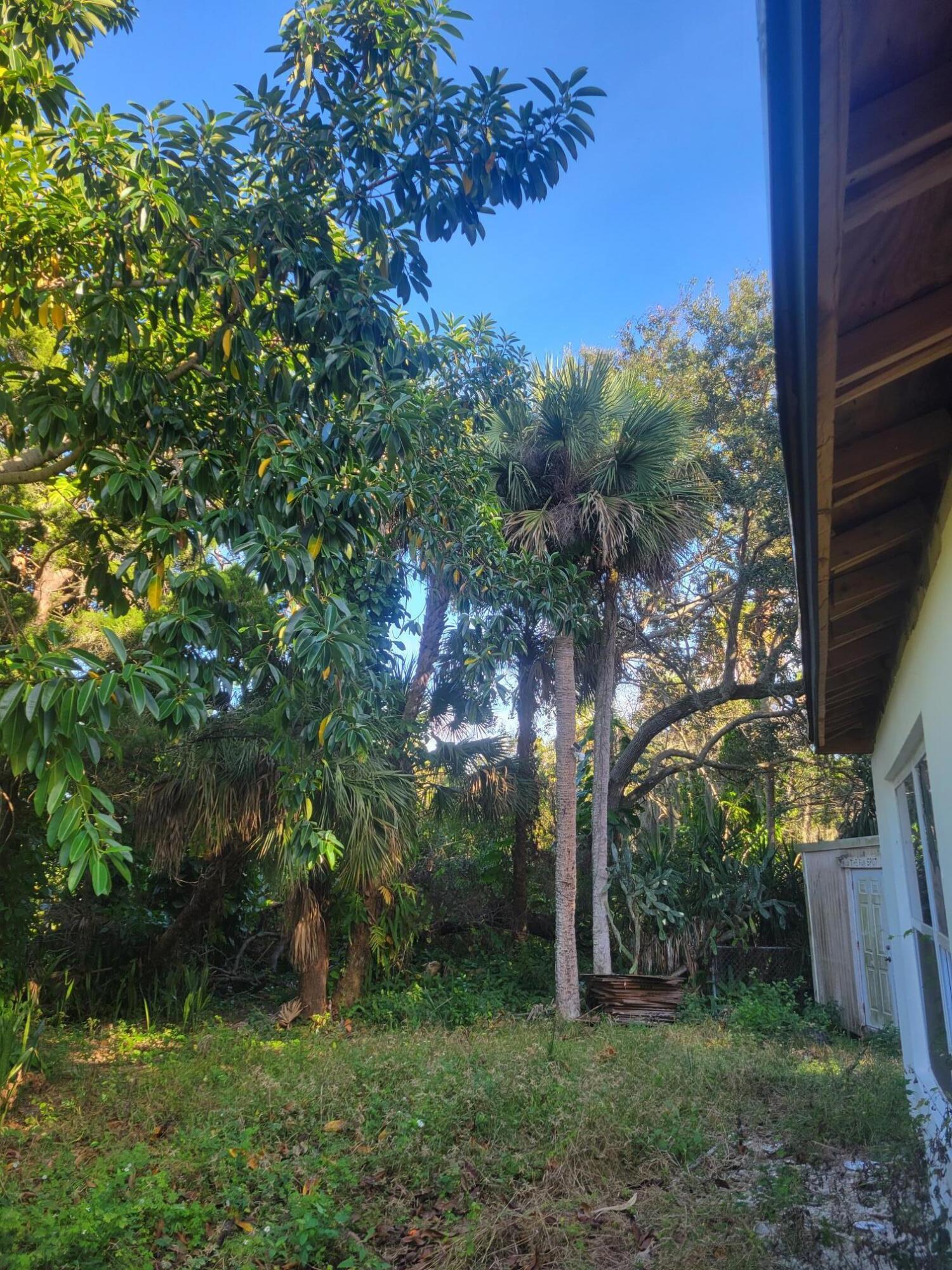 1817 Palm Boulevard Melbourne, FL 32901 - Photo 28 of 35 a view of a garden