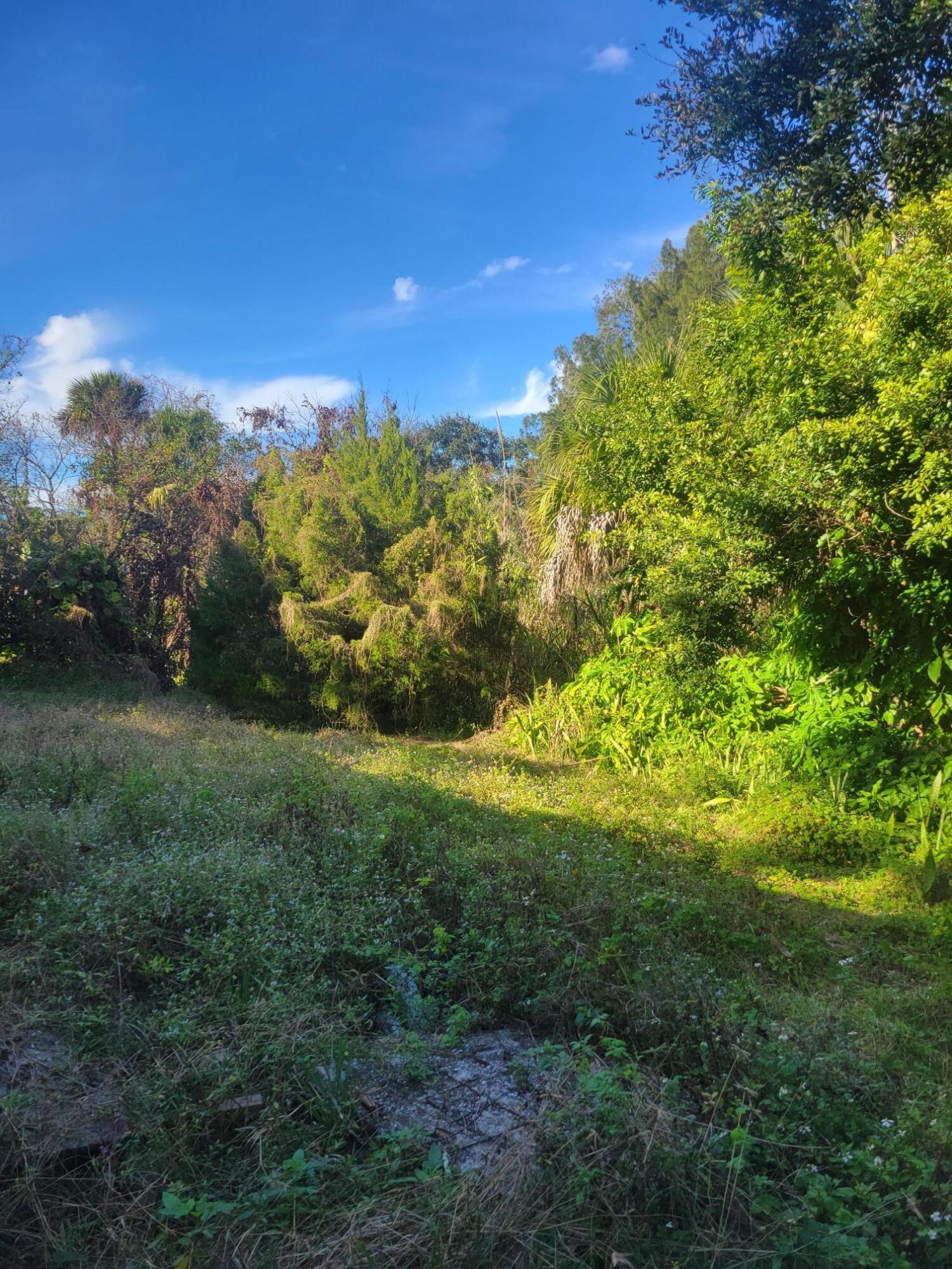 1817 Palm Boulevard Melbourne, FL 32901 - Photo 31 of 35 a view of a field of grass and trees