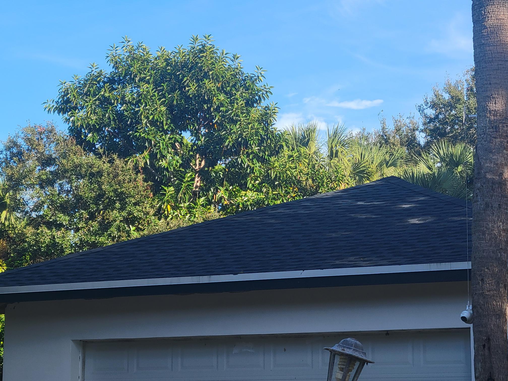 1817 Palm Boulevard Melbourne, FL 32901 - Photo 32 of 35 a view of outdoor space