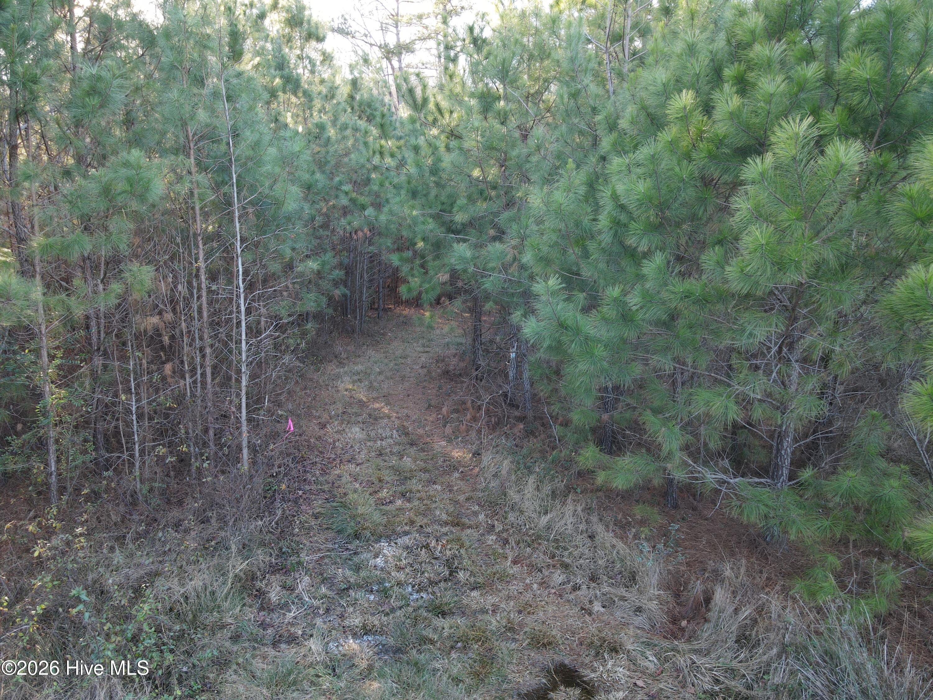 0 Sykes Road Nashville, NC 27856 - Photo 32 of 69 SR MLS 32