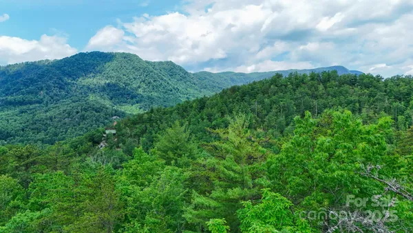 a view of a bunch of trees in a field